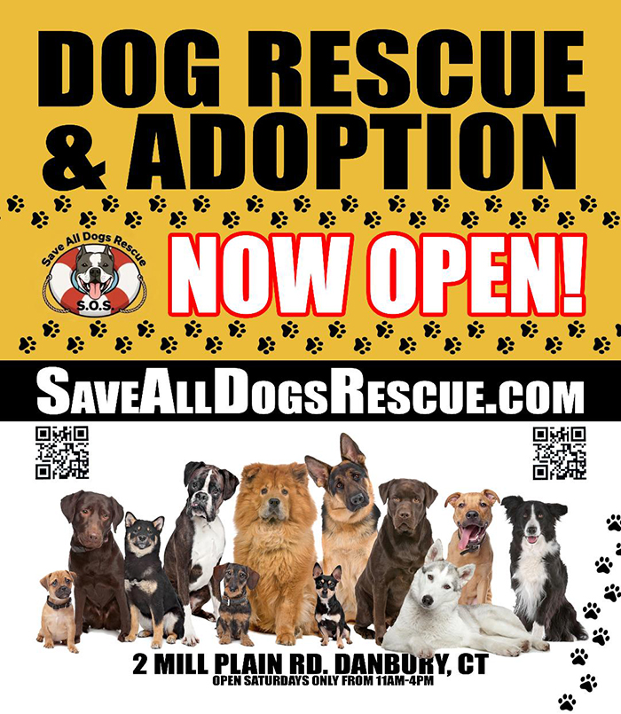 save all dogs rescue