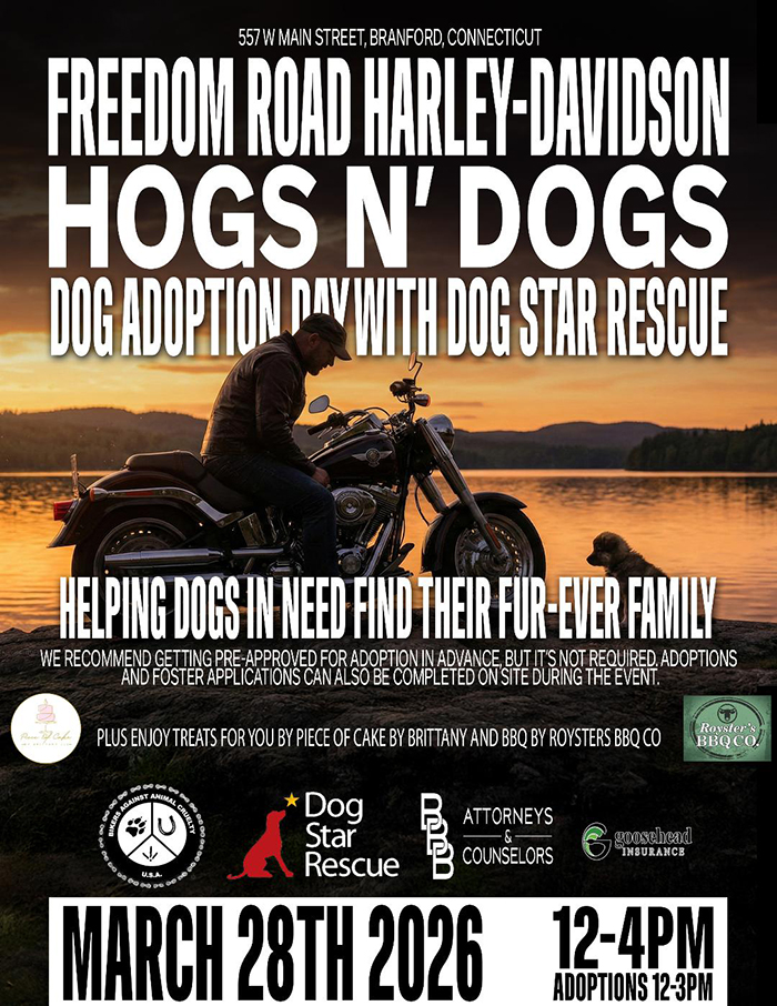 freedom road hd hogs n dogs