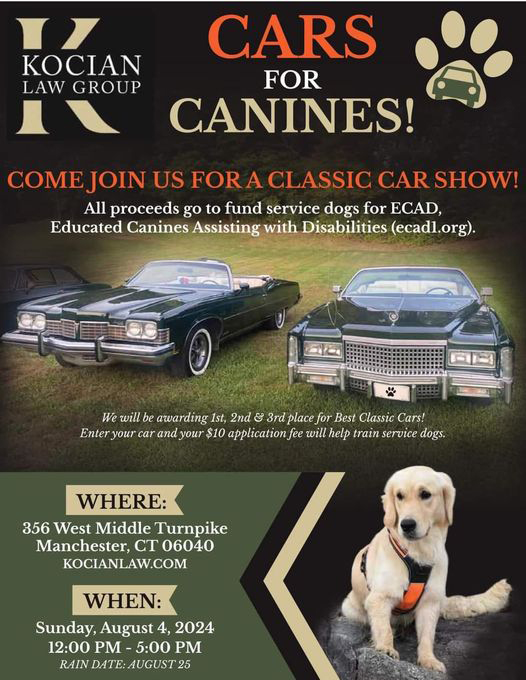 cars for canines